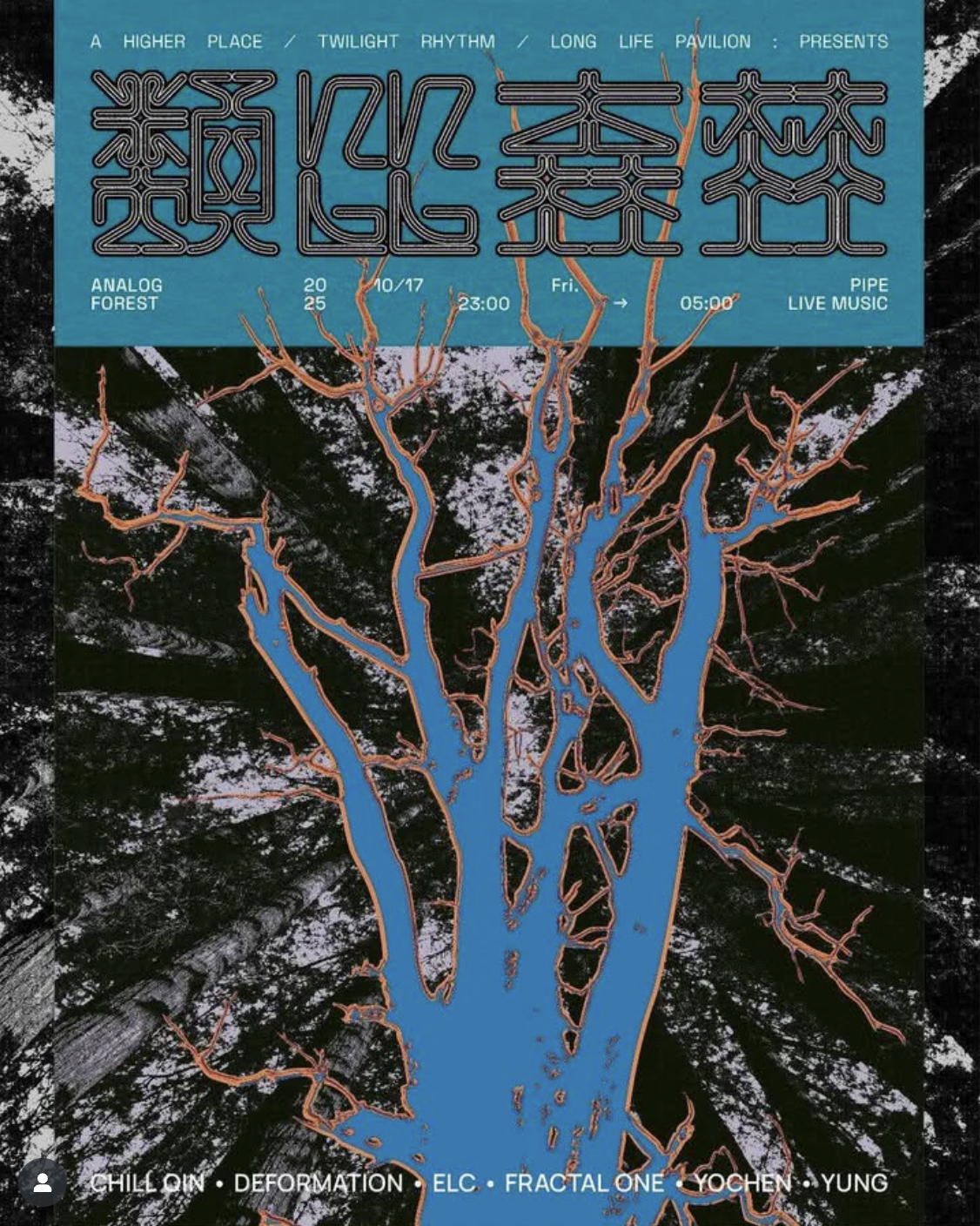 類比森林 | Analog Forest